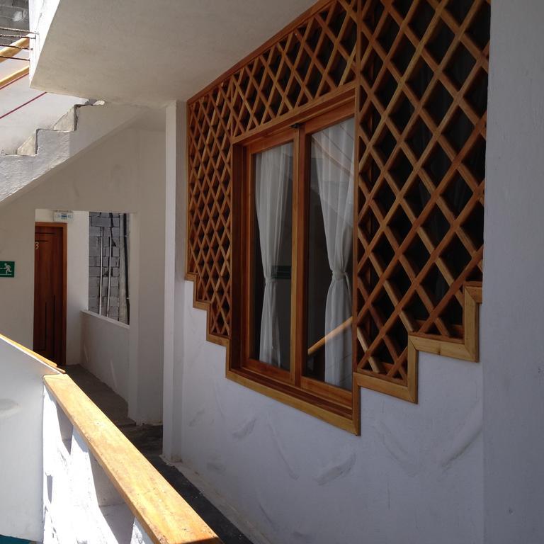 Albergue Galapagos Native Puerto Ayora  Habitación foto